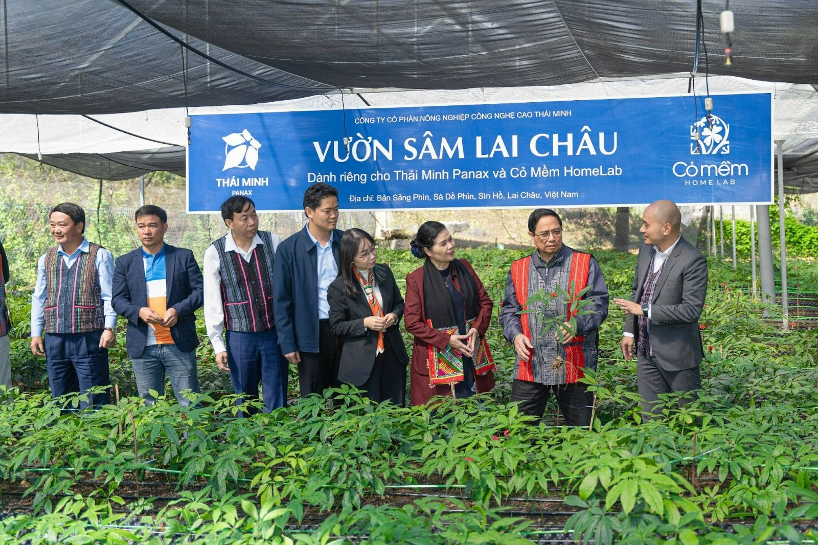 Các Loại Banner Dược Phẩm
